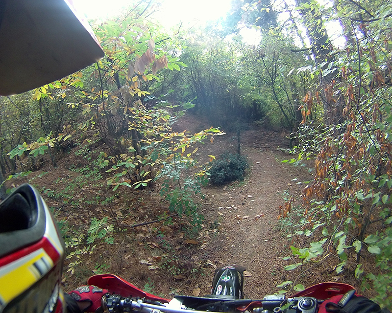 Натиснете снимката за да я уголемите

Име:IONX0067 copy.jpg
Прегледи:1
Размер:645.4 КБ
ID:5535504