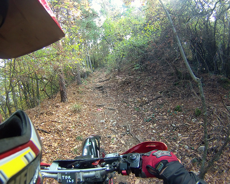 Натиснете снимката за да я уголемите

Име:IONX0081 copy.jpg
Прегледи:1
Размер:674.1 КБ
ID:5535507