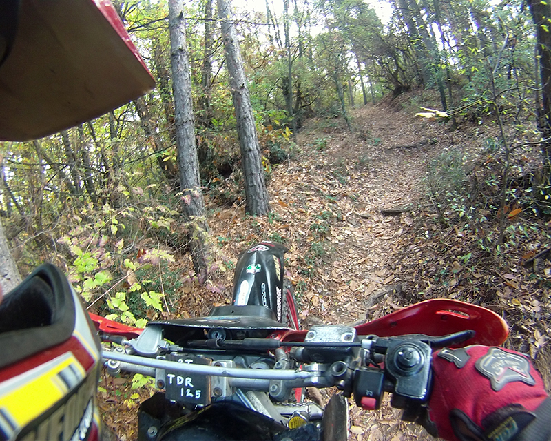 Натиснете снимката за да я уголемите

Име:IONX0086 copy.jpg
Прегледи:1
Размер:643.6 КБ
ID:5535508