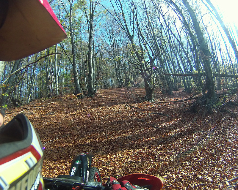 Натиснете снимката за да я уголемите

Име:IONX0153 copy.jpg
Прегледи:1
Размер:722.1 КБ
ID:5535523