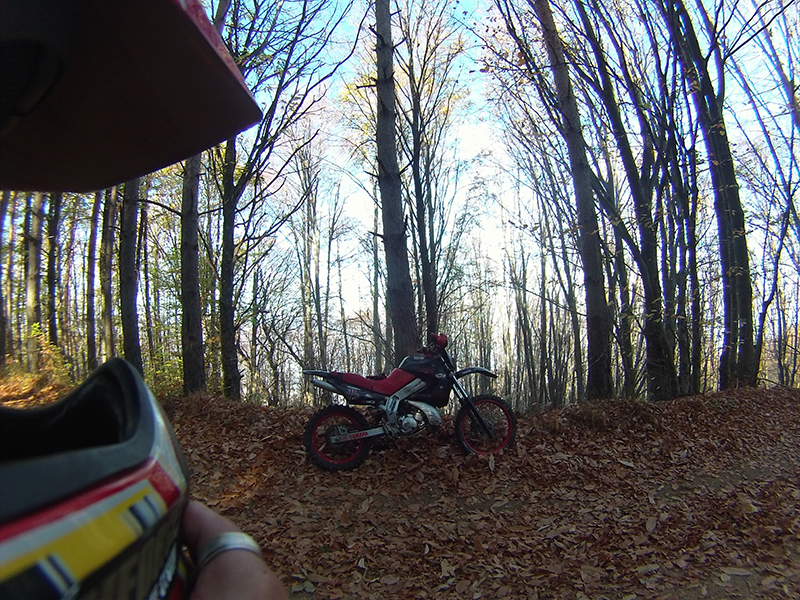 Натиснете снимката за да я уголемите

Име:IONX0169 copy.jpg
Прегледи:1
Размер:627.5 КБ
ID:5535528