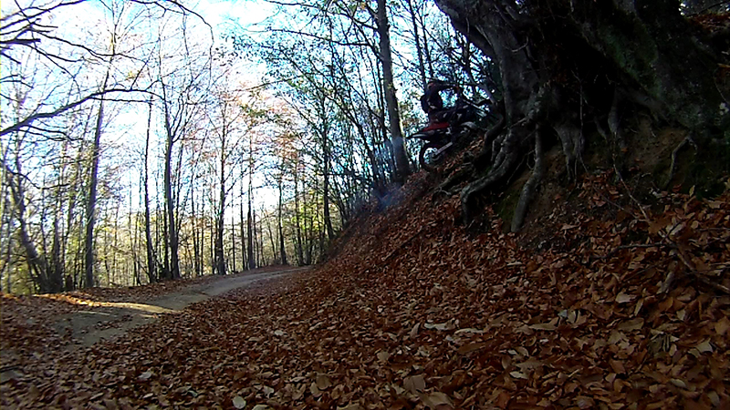 Натиснете снимката за да я уголемите

Име:IONX0175.MP4_000067534 copy.jpg
Прегледи:1
Размер:488.0 КБ
ID:5535532