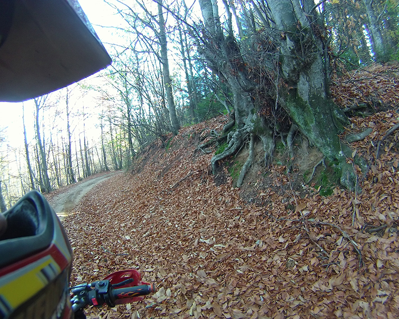 Натиснете снимката за да я уголемите

Име:IONX0177 copy.jpg
Прегледи:1
Размер:663.2 КБ
ID:5535533