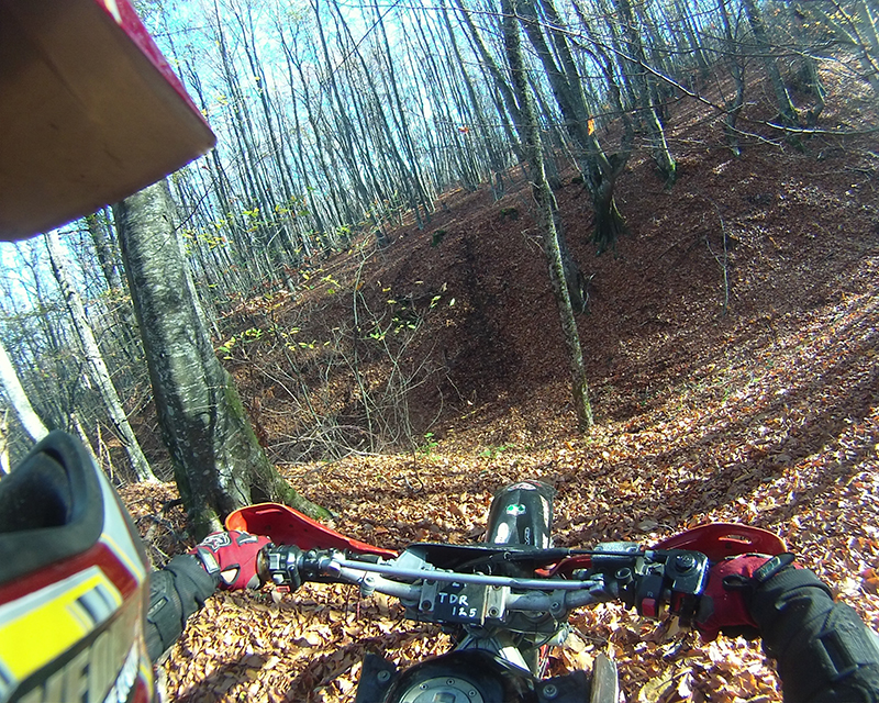 Натиснете снимката за да я уголемите

Име:IONX0187 copy.jpg
Прегледи:1
Размер:728.5 КБ
ID:5535537