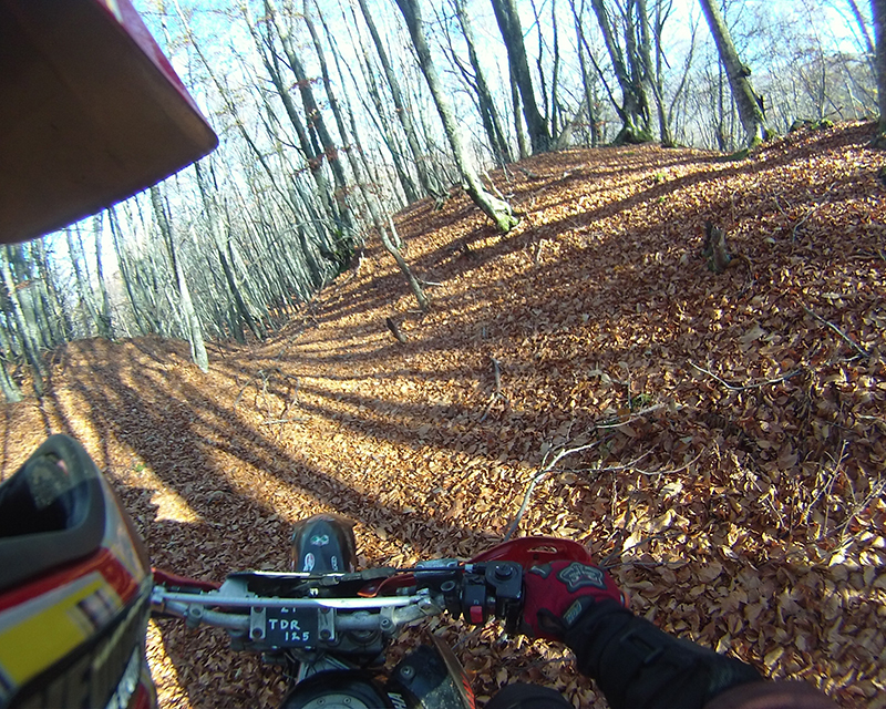 Натиснете снимката за да я уголемите

Име:IONX0194 copy.jpg
Прегледи:1
Размер:700.4 КБ
ID:5535543