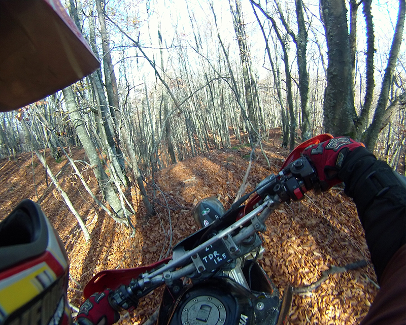 Натиснете снимката за да я уголемите

Име:IONX0195 copy.jpg
Прегледи:1
Размер:616.3 КБ
ID:5535544