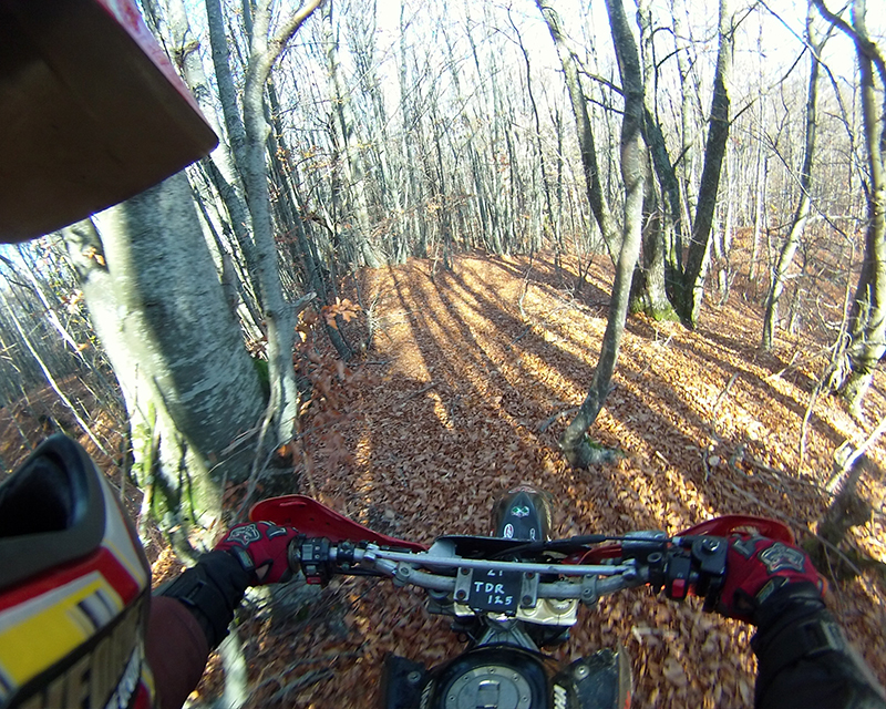 Натиснете снимката за да я уголемите

Име:IONX0204 copy.JPG
Прегледи:1
Размер:636.6 КБ
ID:5535550