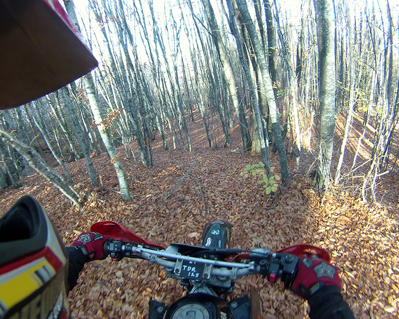 Натиснете снимката за да я уголемите

Име:IONX0207 copy.jpg
Прегледи:1
Размер:668.2 КБ
ID:5535552