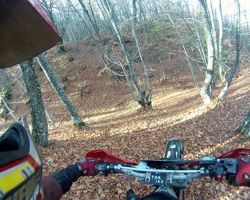 Натиснете снимката за да я уголемите

Име:IONX0212 copy.jpg
Прегледи:1
Размер:679.5 КБ
ID:5535554