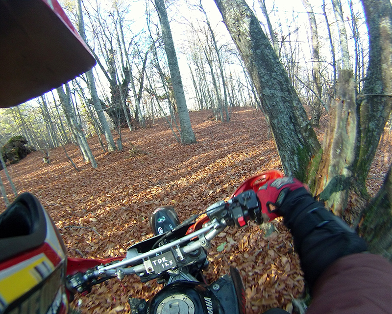 Натиснете снимката за да я уголемите

Име:IONX0225 copy.jpg
Прегледи:1
Размер:618.8 КБ
ID:5535558