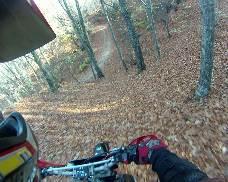 Натиснете снимката за да я уголемите

Име:IONX0227 copy.jpg
Прегледи:1
Размер:573.1 КБ
ID:5535560