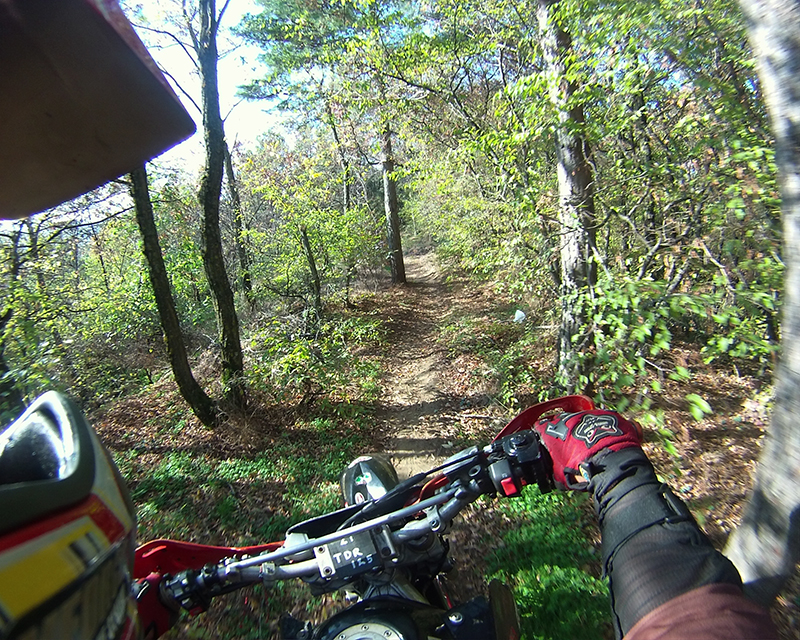 Натиснете снимката за да я уголемите

Име:IONX0255 copy.jpg
Прегледи:1
Размер:708.0 КБ
ID:5535564