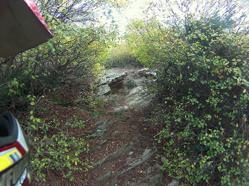 Натиснете снимката за да я уголемите

Име:IONX0027 copy.jpg
Прегледи:1
Размер:723.2 КБ
ID:5538529