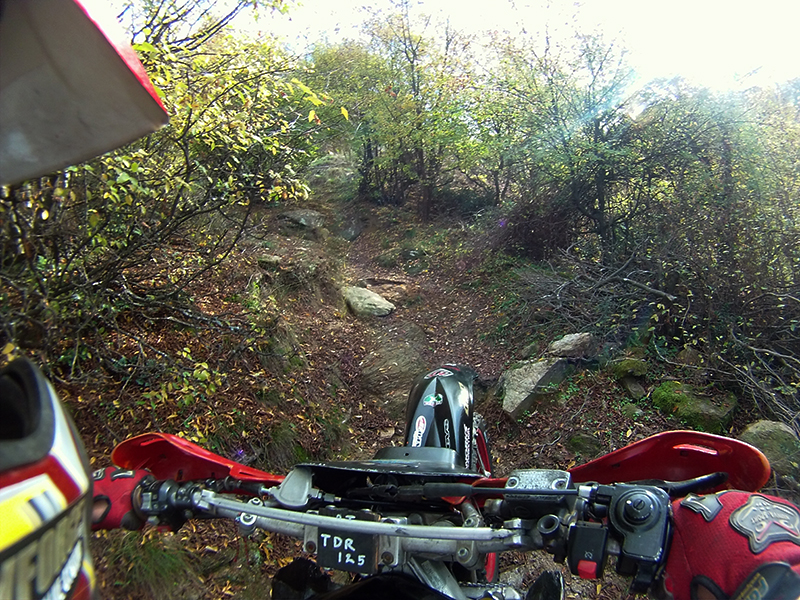 Натиснете снимката за да я уголемите

Име:IONX0032 copy.jpg
Прегледи:1
Размер:645.1 КБ
ID:5538532