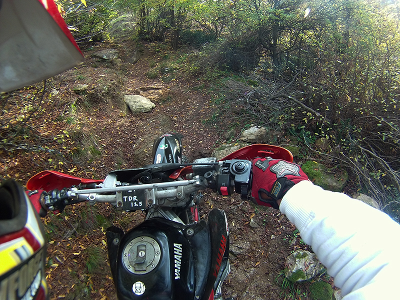 Натиснете снимката за да я уголемите

Име:IONX0035 copy.jpg
Прегледи:1
Размер:650.2 КБ
ID:5538534