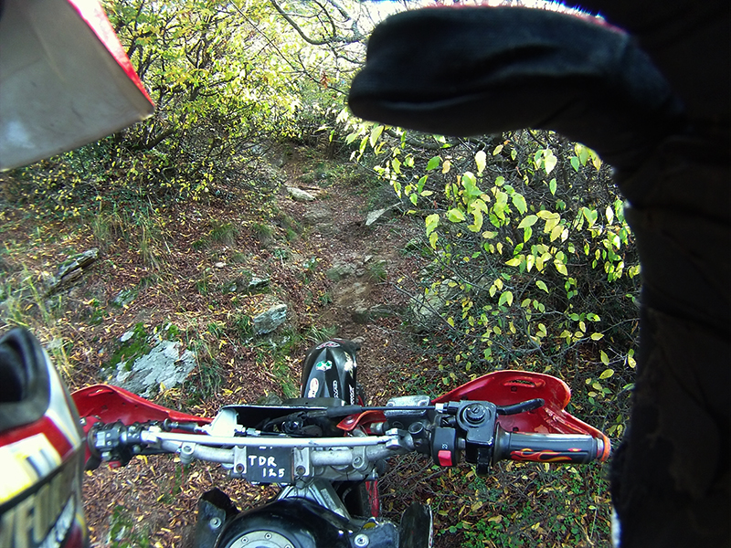 Натиснете снимката за да я уголемите

Име:IONX0039 copy.jpg
Прегледи:1
Размер:662.9 КБ
ID:5538537