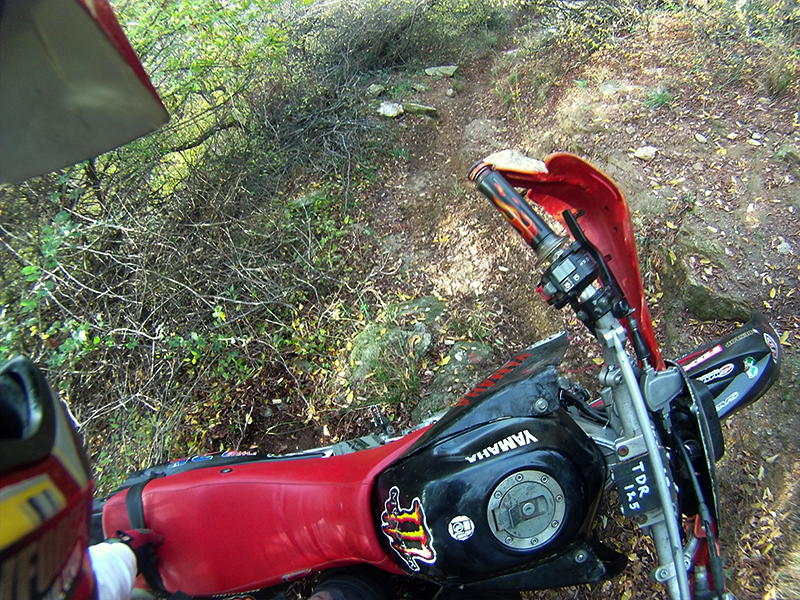 Натиснете снимката за да я уголемите

Име:IONX0048 copy.jpg
Прегледи:1
Размер:707.2 КБ
ID:5538545