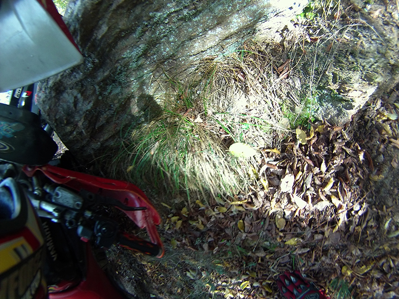 Натиснете снимката за да я уголемите

Име:IONX0055 copy.jpg
Прегледи:1
Размер:605.1 КБ
ID:5538549