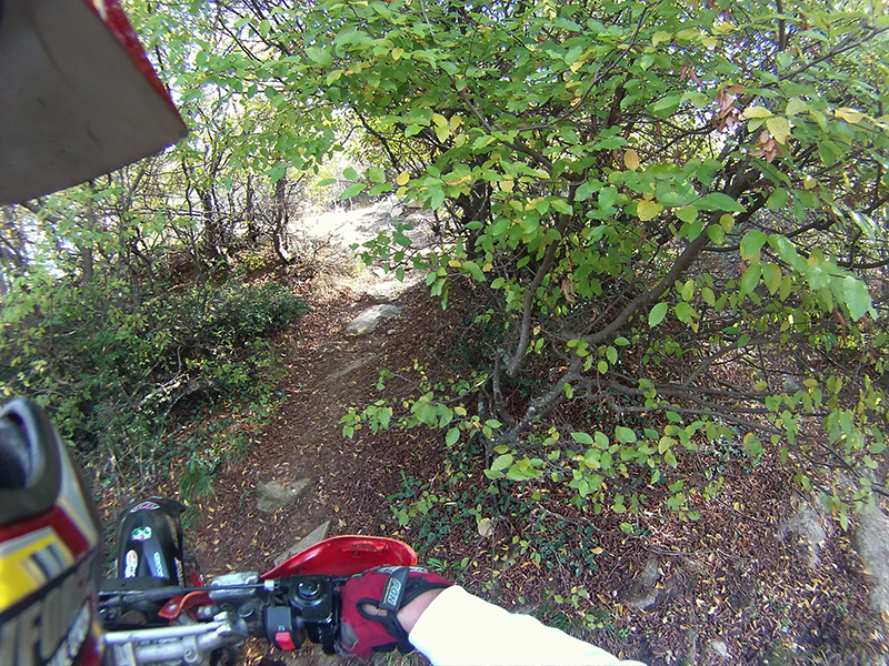 Натиснете снимката за да я уголемите

Име:IONX0065 copy.jpg
Прегледи:1
Размер:753.3 КБ
ID:5538553