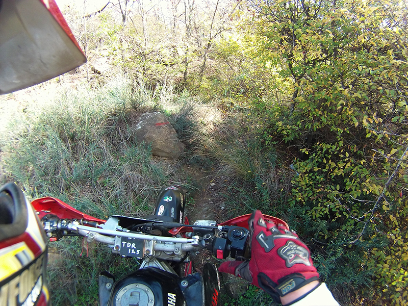 Натиснете снимката за да я уголемите

Име:IONX0129 copy.JPG
Прегледи:1
Размер:722.6 КБ
ID:5538573