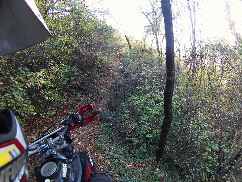 Натиснете снимката за да я уголемите

Име:IONX0173 copy.jpg
Прегледи:1
Размер:673.6 КБ
ID:5538584