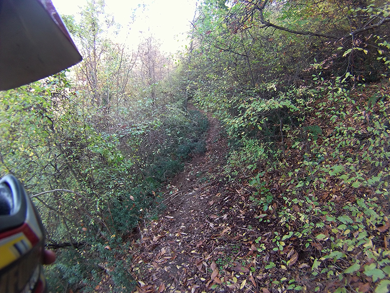 Натиснете снимката за да я уголемите

Име:IONX0174 copy.jpg
Прегледи:1
Размер:718.1 КБ
ID:5538585