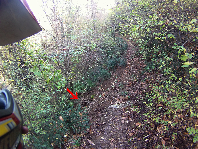 Натиснете снимката за да я уголемите

Име:IONX0176 copy.jpg
Прегледи:1
Размер:745.3 КБ
ID:5538586