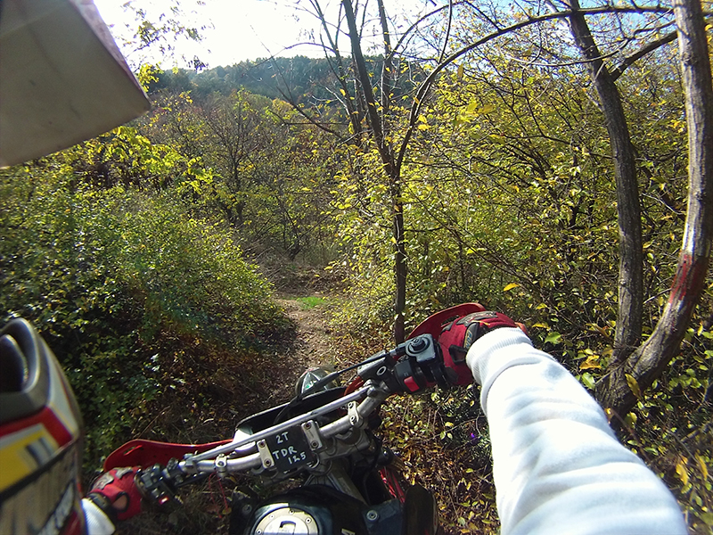 Натиснете снимката за да я уголемите

Име:IONX0186 copy.jpg
Прегледи:1
Размер:685.0 КБ
ID:5538588