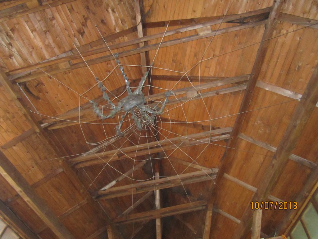 Натиснете снимката за да я уголемите

Име:IMG_3720.jpg
Прегледи:1
Размер:139.2 КБ
ID:5539372