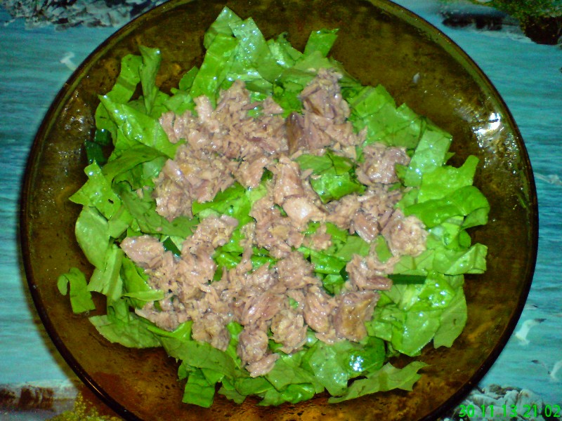 Натиснете снимката за да я уголемите

Име:tuna_salad.JPG
Прегледи:1
Размер:157.5 КБ
ID:5542330
