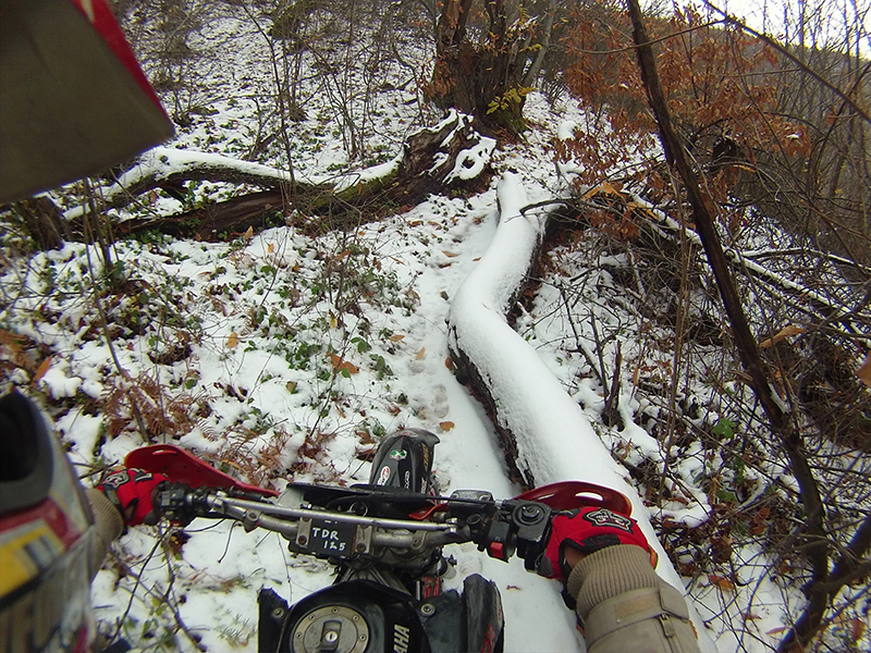 Натиснете снимката за да я уголемите

Име:IONX0028 copy.jpg
Прегледи:1
Размер:611.6 КБ
ID:5542776