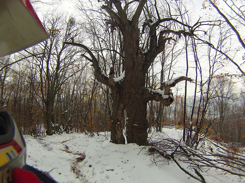 Натиснете снимката за да я уголемите

Име:IONX0103.jpg
Прегледи:1
Размер:608.5 КБ
ID:5542809