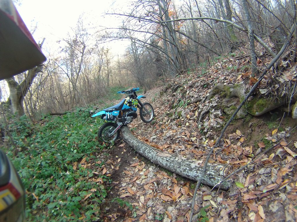 Натиснете снимката за да я уголемите

Име:IONX0014.jpg
Прегледи:1
Размер:295.4 КБ
ID:5543704