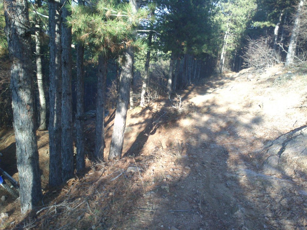 Натиснете снимката за да я уголемите

Име:DSC_2639.jpg
Прегледи:1
Размер:234.4 КБ
ID:5546455