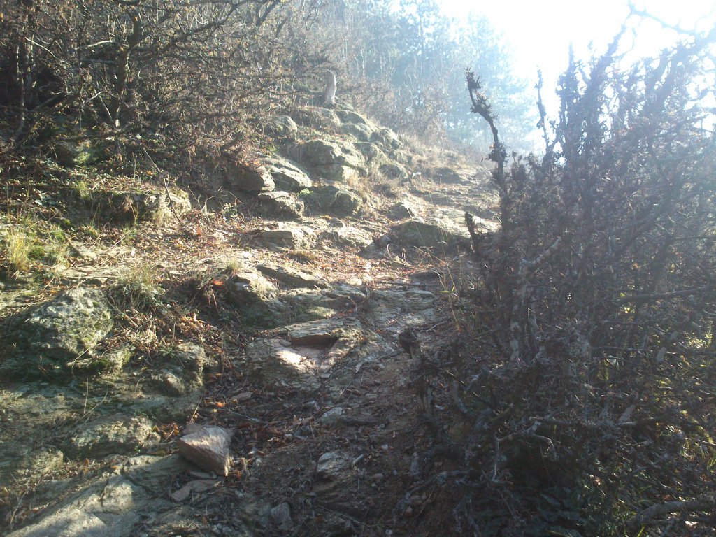 Натиснете снимката за да я уголемите

Име:DSC_2640.jpg
Прегледи:1
Размер:246.3 КБ
ID:5546456