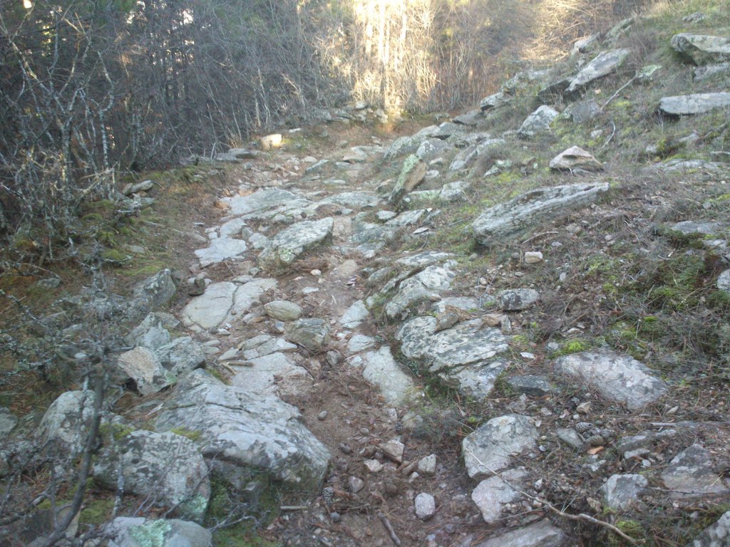 Натиснете снимката за да я уголемите

Име:DSC_2641.jpg
Прегледи:1
Размер:234.3 КБ
ID:5546457