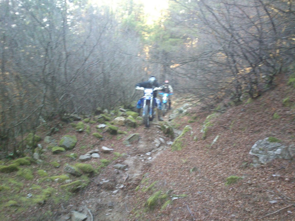 Натиснете снимката за да я уголемите

Име:DSC_2642.jpg
Прегледи:1
Размер:173.2 КБ
ID:5546458