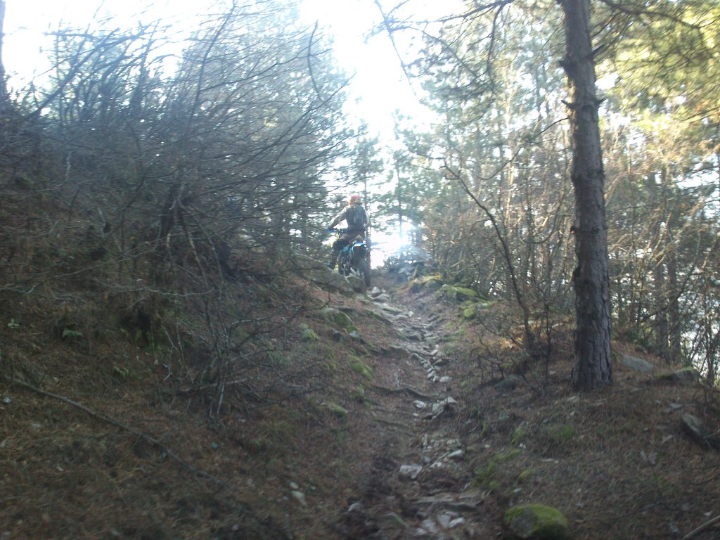 Натиснете снимката за да я уголемите

Име:DSC_2644.jpg
Прегледи:1
Размер:191.4 КБ
ID:5546459