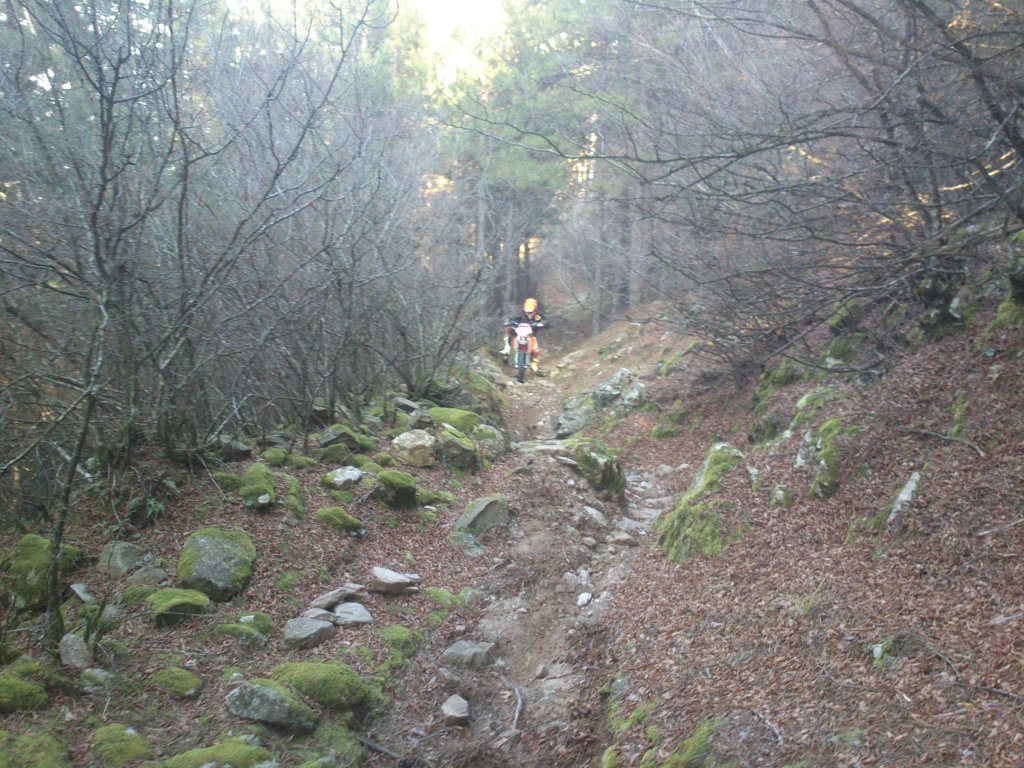 Натиснете снимката за да я уголемите

Име:DSC_2645.jpg
Прегледи:1
Размер:216.3 КБ
ID:5546461