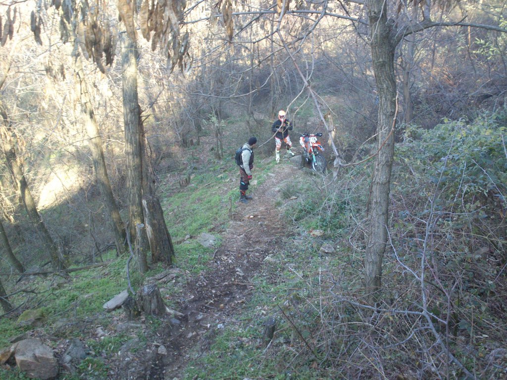 Натиснете снимката за да я уголемите

Име:DSC_2647.jpg
Прегледи:1
Размер:250.8 КБ
ID:5546463