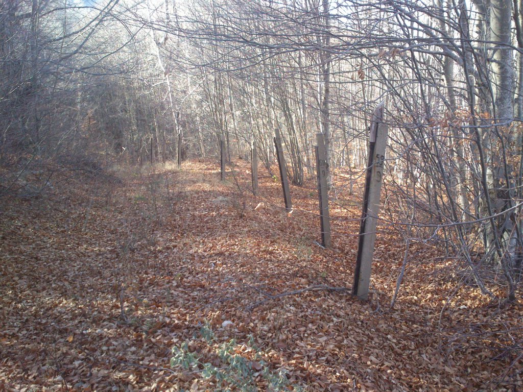 Натиснете снимката за да я уголемите

Име:DSC_2653.jpg
Прегледи:1
Размер:304.0 КБ
ID:5546498