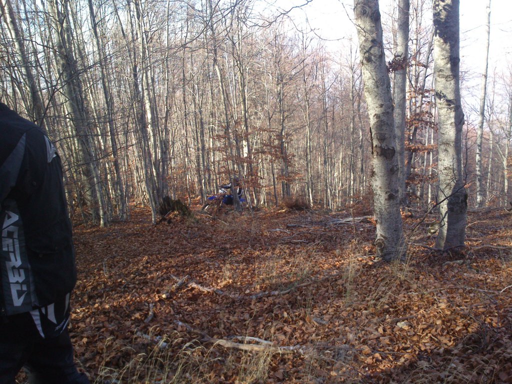 Натиснете снимката за да я уголемите

Име:DSC_2654.jpg
Прегледи:1
Размер:277.7 КБ
ID:5546499