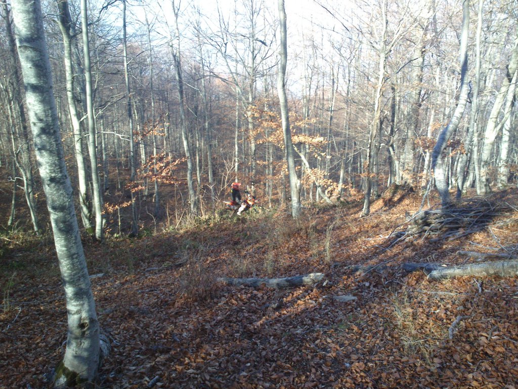 Натиснете снимката за да я уголемите

Име:DSC_2658.jpg
Прегледи:1
Размер:272.7 КБ
ID:5546502