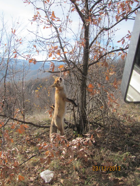 Натиснете снимката за да я уголемите

Име:IMG_7037.jpg
Прегледи:1
Размер:167.9 КБ
ID:5548038