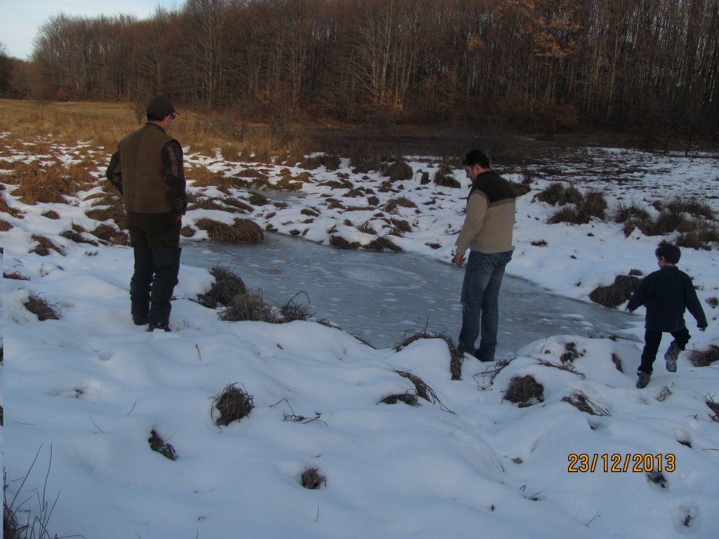 Натиснете снимката за да я уголемите

Име:IMG_7090.jpg
Прегледи:1
Размер:135.2 КБ
ID:5548066