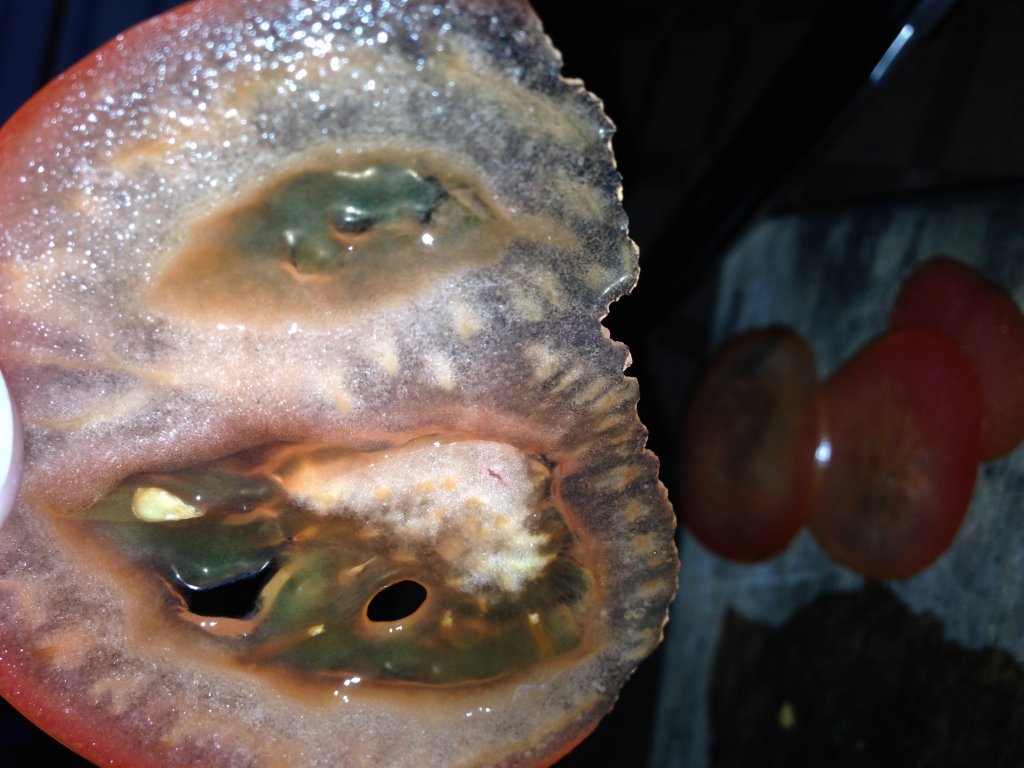 Натиснете снимката за да я уголемите

Име:IMG_0210.jpg
Прегледи:1
Размер:115.1 КБ
ID:5549898