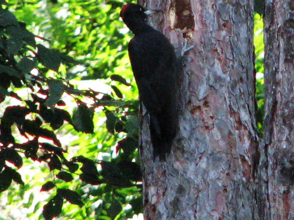 Натиснете снимката за да я уголемите

Име:432.jpg
Прегледи:1
Размер:189.1 КБ
ID:5550772