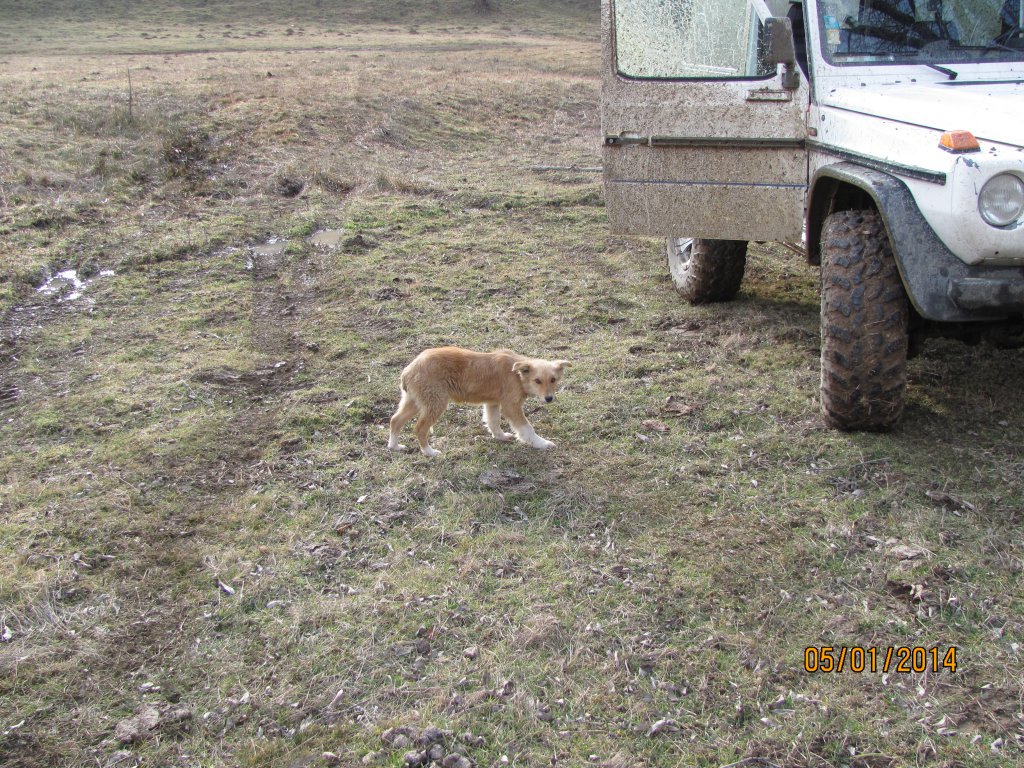 Натиснете снимката за да я уголемите

Име:IMG_7372.jpg
Прегледи:1
Размер:298.4 КБ
ID:5551553