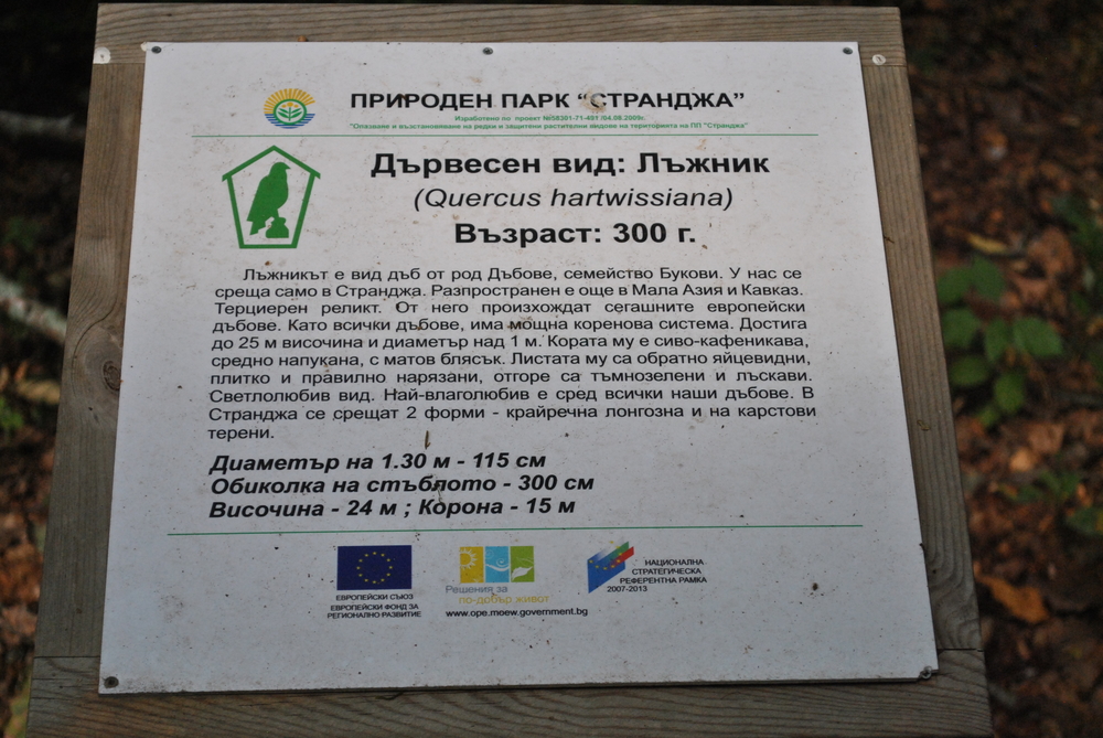 Натиснете снимката за да я уголемите

Име:DSC_5173.JPG
Прегледи:1
Размер:616.1 КБ
ID:6041780