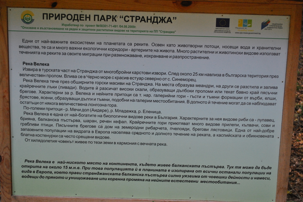 Натиснете снимката за да я уголемите

Име:DSC_5175.JPG
Прегледи:1
Размер:655.3 КБ
ID:6041781